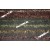 Carp Spot - Subline With Safety Clip 140cm 45lb Green - leadcore