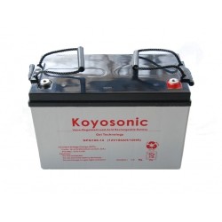 Koyosonic - Akumulator Żelowy - NPG120-12