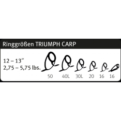 Sportex Triumph Carp 13ft 4-7 OZ - wędka karpiowa